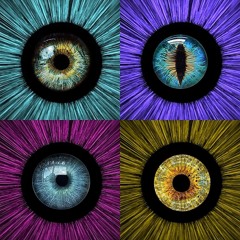 Three Top Tracks #003