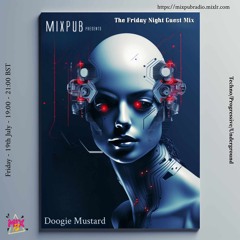 The Friday Night Guest Mix