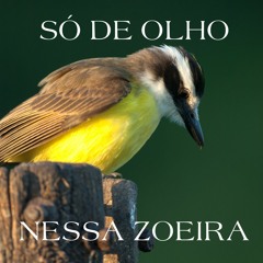 MTG - PASSARIHO QUE SOM É ESSE - BEAT BEM-TI-VI KKKK DJMAEL - PIQUE DO NORTE