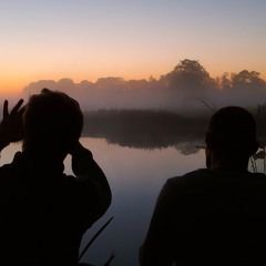 Before Dawn
