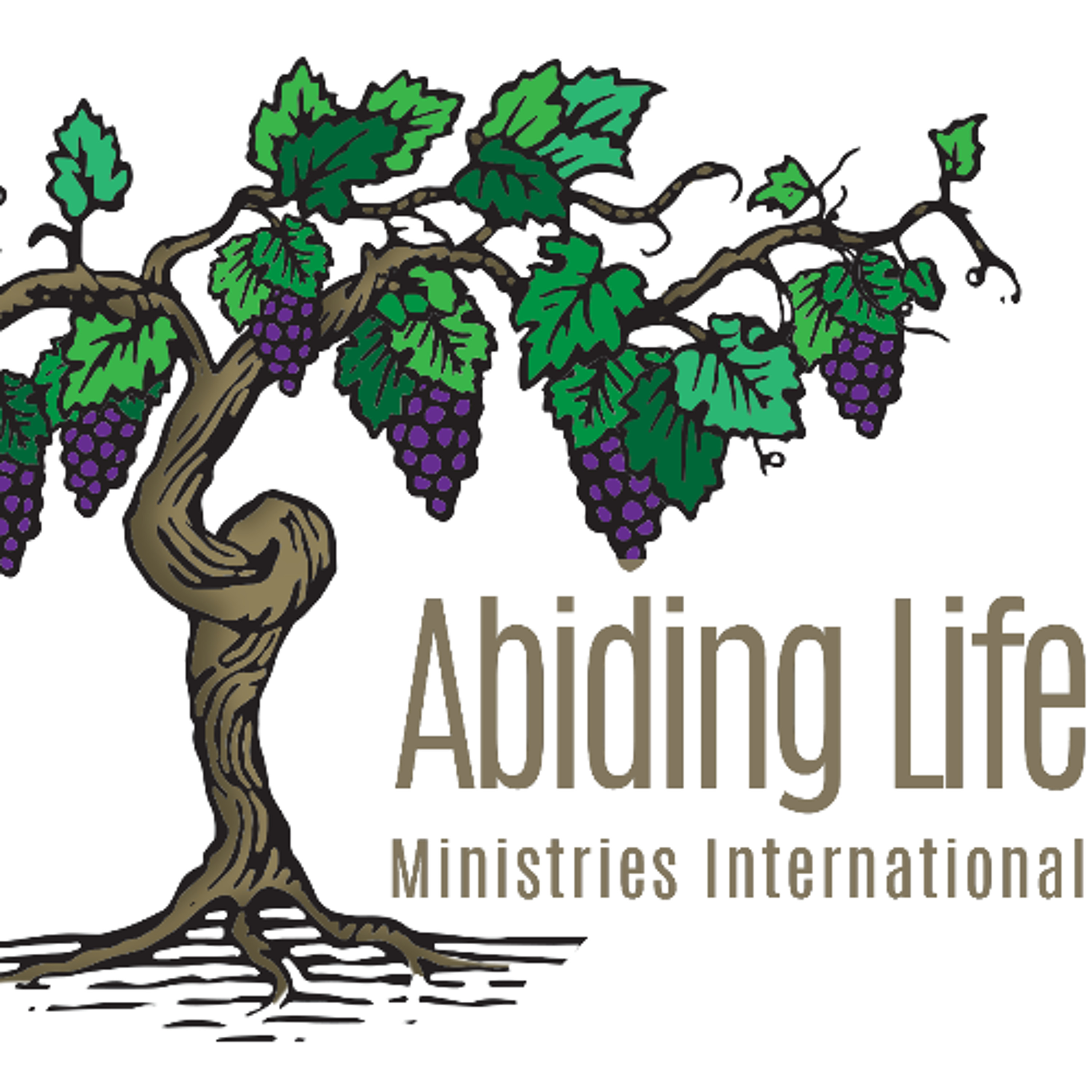 Abiding Life Studios