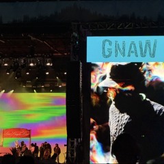 [Unreleased] Earl Sweatshirt - Vet (Live @ CFG25).m4a