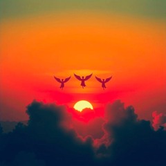 DJ M Project - When the Angels Fall in the Sunset