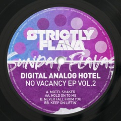 Digital Analog Hotel - Never Fall For You