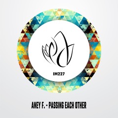 Aney F. - Passing Each Other (Original Mix) - Innocent Music