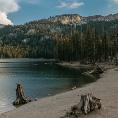 Coast (King Of Beats Oracle Edition)