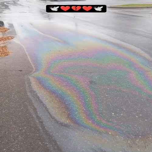 12-6-25kustom kustomize