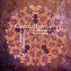 VP050: Circulation - Hallucinogenic Hotel [Voodoo & Prayers]