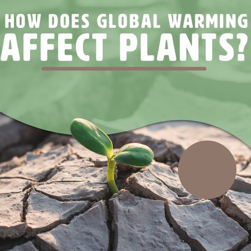 stream-episode-how-climate-change-affects-what-we-plant-by-the-maverick