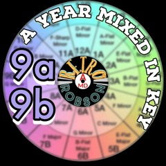A Year Mixed In Key 9a/9b
