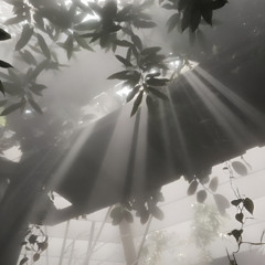 Dream Station 8 (Sped Up)