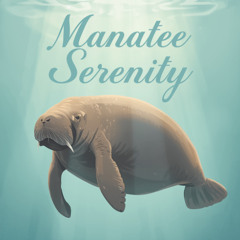 Manatee Serenity