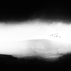 Fall 2024 Ambient Mix