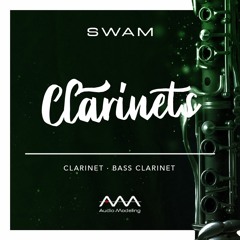CLARINETS DEMO – BY STEFANO LUCATO