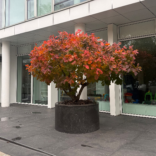 but it’s my mess - 19.11.25 in brooklyn