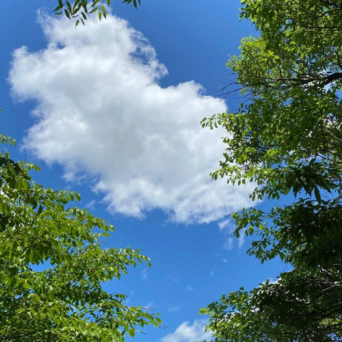 [자작곡] Sky
