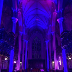 Forest Creatures_Tonnta - Live NMD 2022