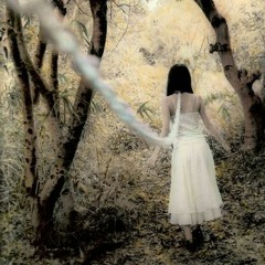 new grimm+1lone+friends