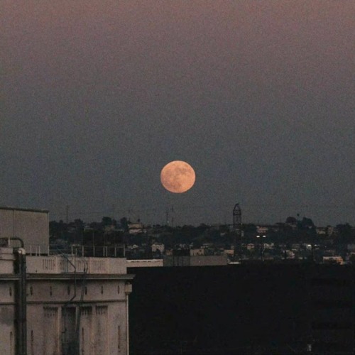 Shareh - talking to the moon | Prod by UMAIR