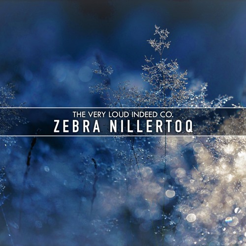 Zebra Nillertoq — Demo Tracks