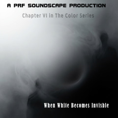When White Becomes Invisible (Chapter VI in The Color Series)