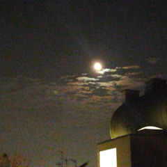 alchemy electro house underground3jadehillmp