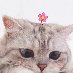 Chinese Playlist