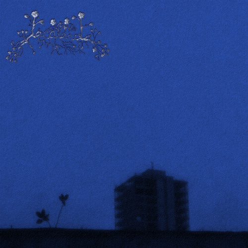 Jacaranda -Oquedad de un Sueño Muerto