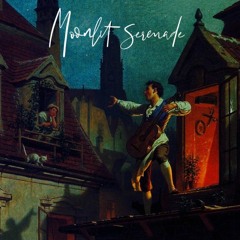 Moonlit Serenade