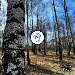 Kotok (Extended Mix)