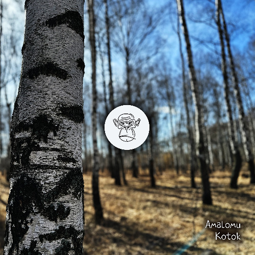 Kotok (Extended Mix)