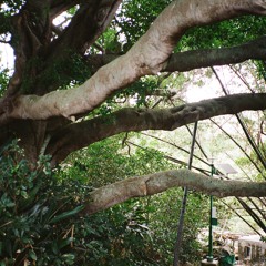 Under The City, There Is A Beach