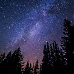 Umbris - Forest Whisper