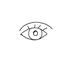 Retina