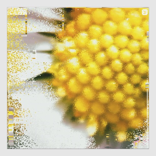 Himera, 'Here' (2021). Courtesy Valley, Amsterdam.