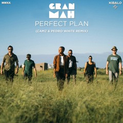 GranMah - Perfect Plan (Camz & Pedro White  Remix)