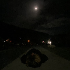 <how tf am i not dead?> (demo)