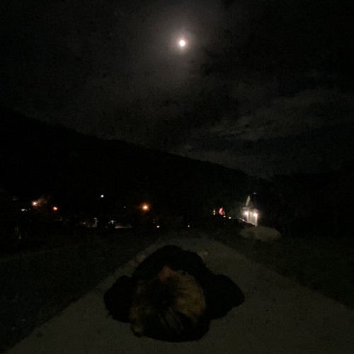 <how tf am i not dead?> (demo)