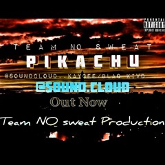 PIKACHU.//Team_No_Sweat//