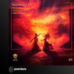 Premiere: Anil Ahuja - Ngiyajola - Gifted Fire Records