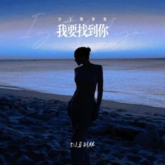DJ卓别林 — 我要找到你