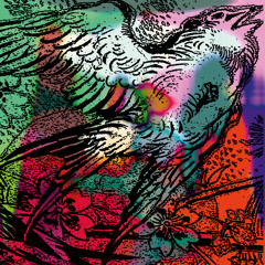 In Your Eyes (Vocal)