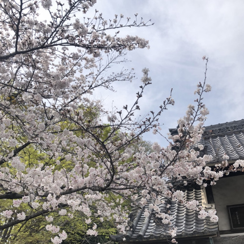 em nhu giot nuoc trong veoooo