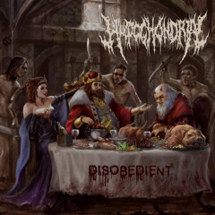 HYPOCHONDRIAC - Radikalisme