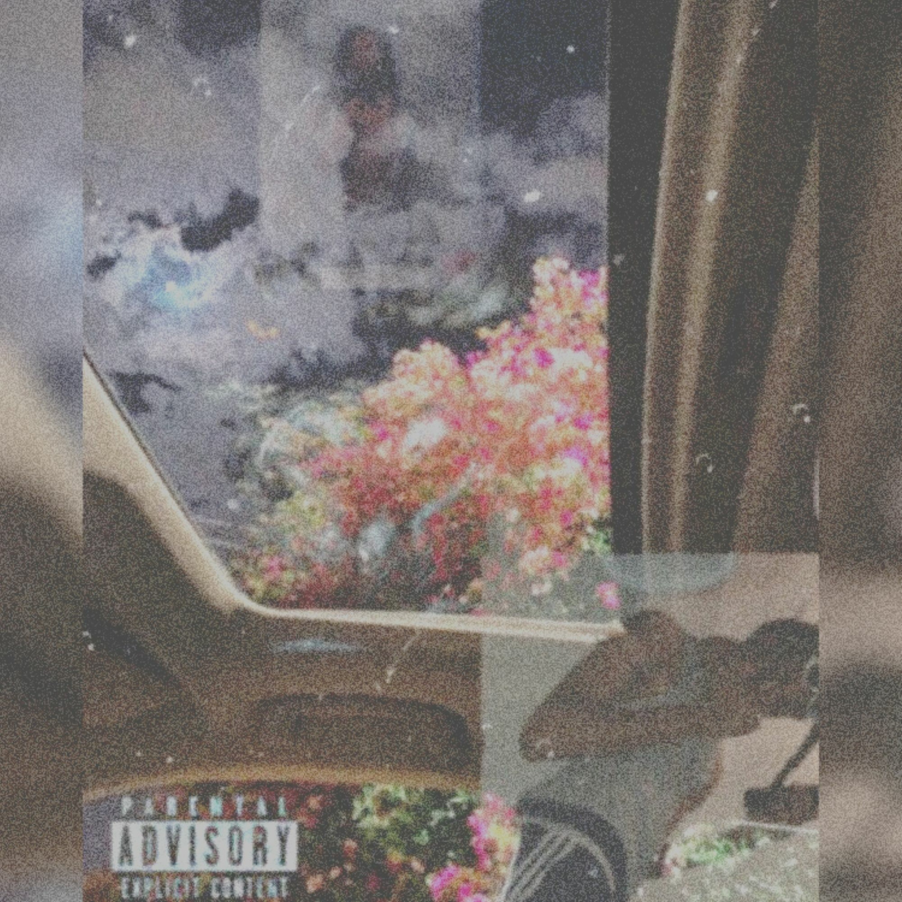 DØN ᕯ ₲ΔÐŸ (@d0ngady)