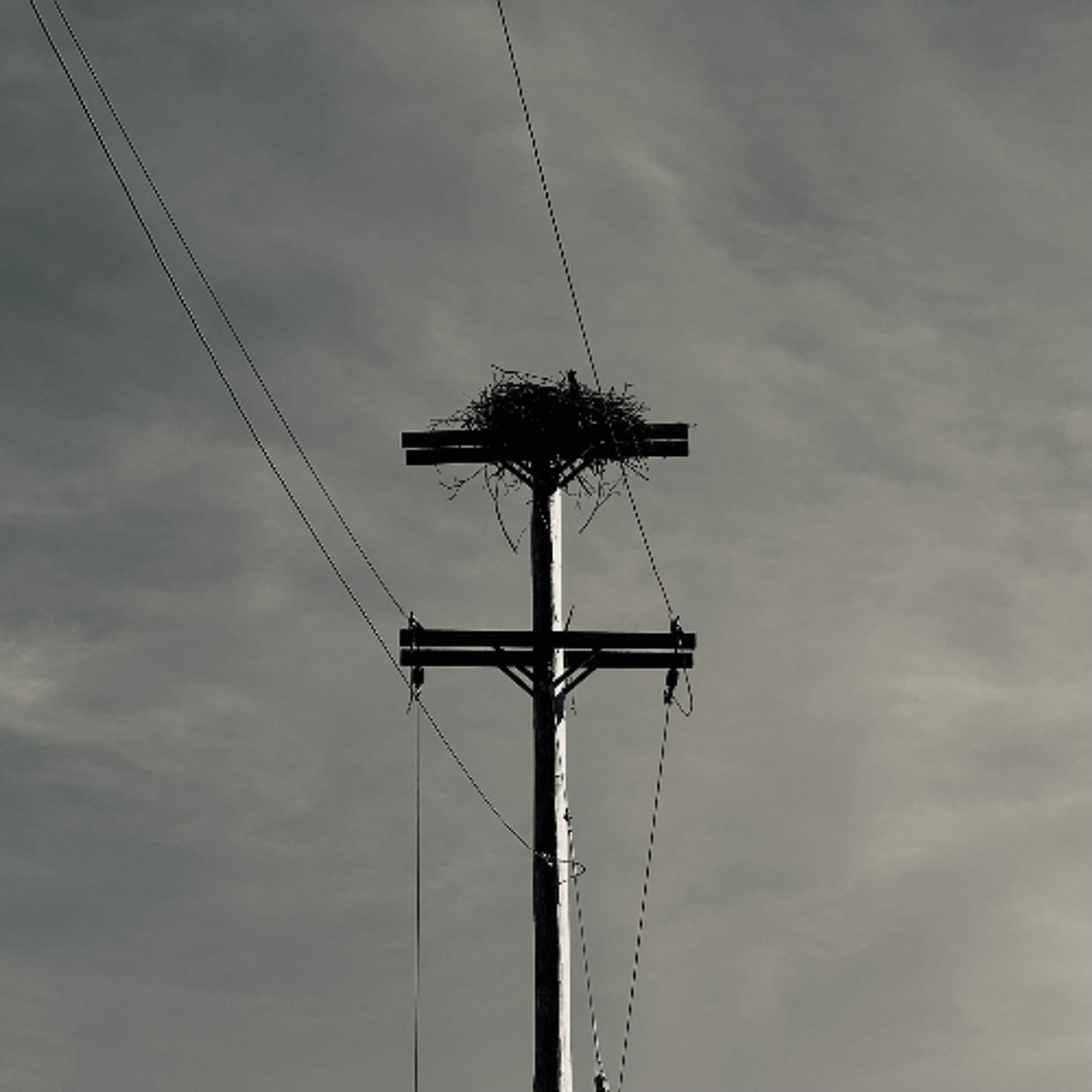 Disquiet_0747_And_A_One episode artwork