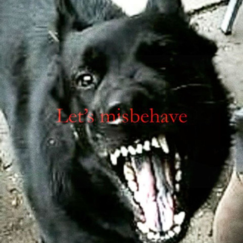 relapsing is the only way to keep me sane