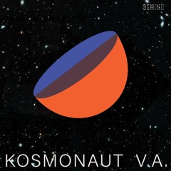 Kosmonaut Varius Artists  Donations for Denis Kaznacheev