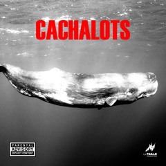 CACHALOTS (Feat Twell, BSSN, lo8gotobed)