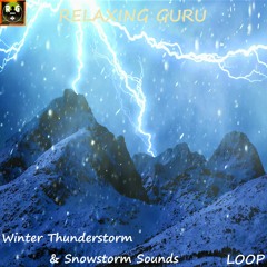 Winter Thunderstorm & Snowstorm Sounds with Wind, Thunder and Lightning for Sleep, Relax - LOOP